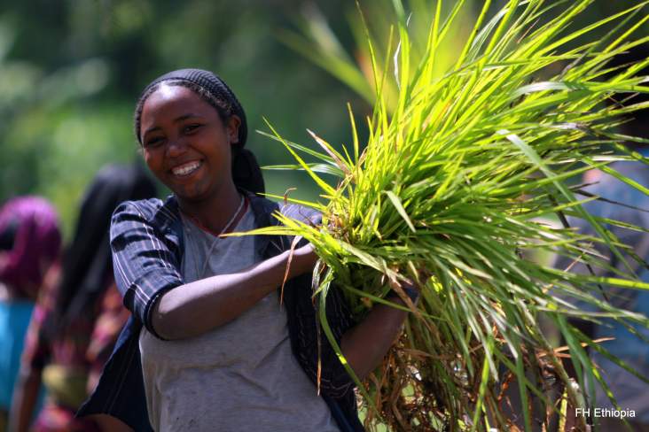 women agriculture ethiopia